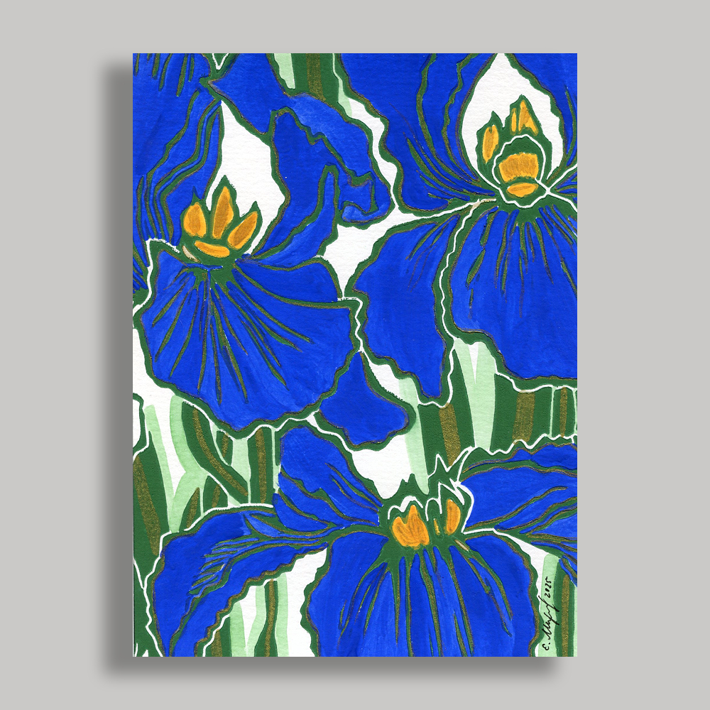 Blue Iris